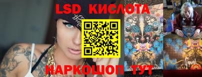прущие крисы Кандалакша