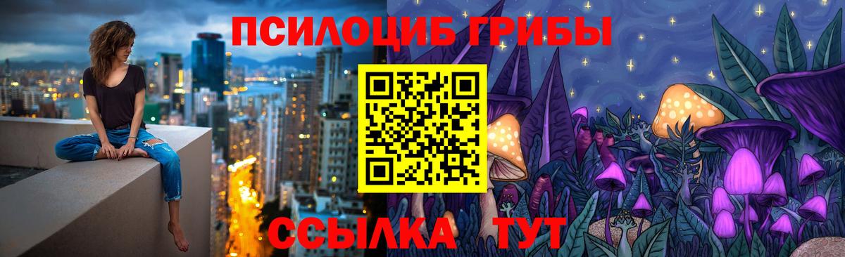 Краснодар  Псилоцибиновые грибы Psilocybine cubensis  Вход с VPN 